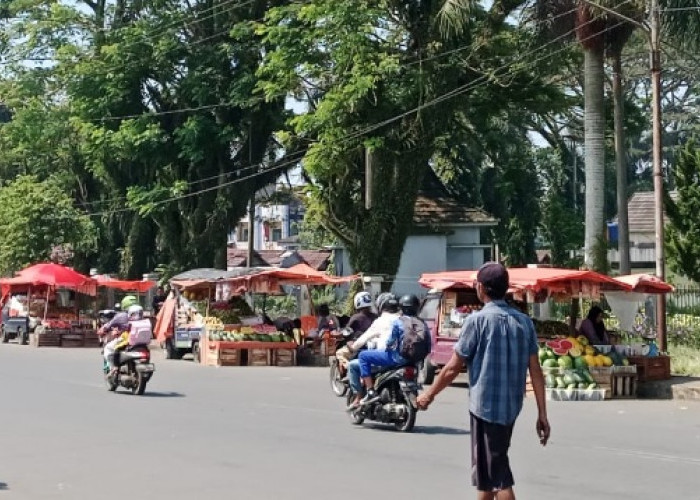 Mangkal di Tempat Terlarang, Dinas Perhubungan Ngaku Belum Ada Solusi Untuk Pedagang di Zona Hijau