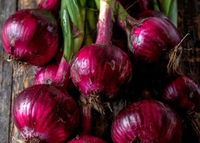 Manfaat Bawang Merah yang Sayang Kalau Dilewatkan