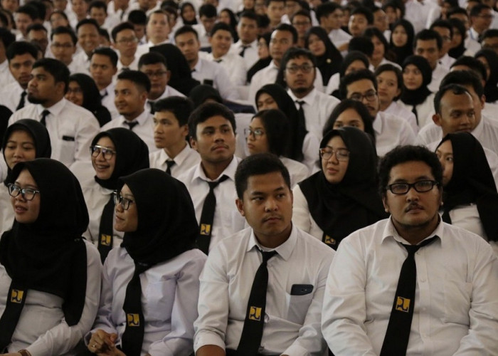 Rekrutmen CPNS 2024 Masih Tanda Tanya, Fresh Graduate Ekspresikan Kekecewaan Terhadap Kuota Formasi PPPK