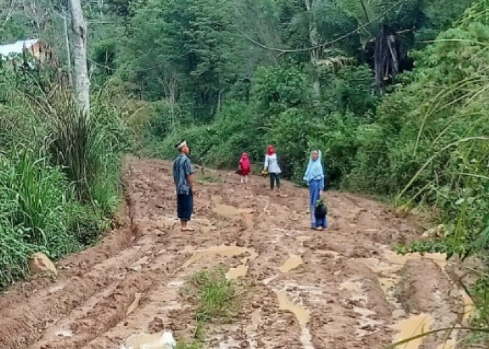 APBD Tidak Mampu, Pembangunan Jalan Langgar Jaya Membutuhkan Anggaran yang Besar