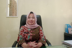 4 ASN Kepahiang Jadi Tersangka, BKPSDM: Diberhentikan Sementara, Gaji Dibayar 50 Persen