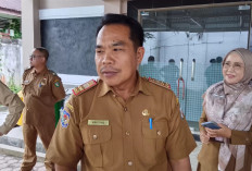 Tenaga Non ASN yang Direkrut Pemkab Kepahiang Prioritaskan THL Lama!