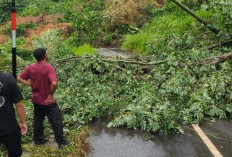 Hujan Lebat, Longsor di Desa Air Raman Sebabkan Jalan Akses Putus Total