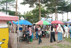 Penataan PKL Masjid Agung Baitul Hikmah, Pemkab Kepahiang Gandeng Satpol PP Lakukan Penertiban