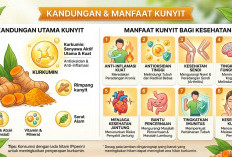 Rahasia Rempah Emas, Ini Kandungan Kunyit dan Manfaatnya