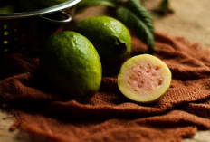 Ini Deretan Manfaat Bagi Kesehatan JIka Konsumsi Jambu Biji
