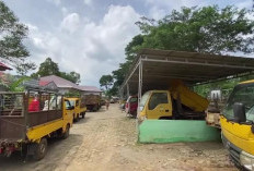 Tak Bisa Dioperasikan Lagi, 6 Unit Armada Sampah di Kepahiang Akan Dilelang