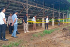 Temuan 3 Tengkorak Manusia Dalam Tempayan Diduga Berusia Ratusan Tahun, Disebut dari Zaman Megalitikum!