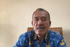 Distan Hanya Dapat DBH Sawit Non Fisik, Ini Rencana Realiasinya