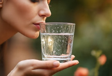 Tips Sederhana Menjaga Badan Tetap Sehat: Kebiasaan Kecil Tapi Hasilnya Besar