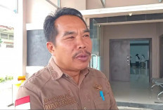 Pemkab Kepahiang Pastikan Tak Ada Rekrutmen PPPK Paruh Waktu, Skema Outsourcing Bakal Diterapkan!