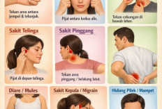 Titik Ajaib di Tubuhmu: Cara Sederhana Meredakan Keluhan Ringan dengan Pijat Refleksi