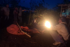 BREAKING NEWS: Seorang Laki-Laki Ditemukan Tewas di Kebun Pematang Donok