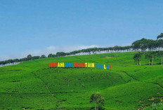 Antisipasi Macet Tahun Baru, Jalur One Way Diberlakukan Menuju Destinasi Wisata Kabawetan