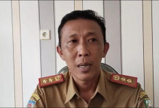 Keterbukaan Rekrutmen Tenaga Kerja Lokal, Disnakerprin Kepahiang Surati Perusahaan!