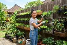 Terlihat Estetik dan Lebih Produktif, Ini Tips Menata Kebun sayur Vertikal di Pagar!