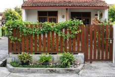 Cocok untuk Halaman Kecil, Ini 5 Ide Pagar Murah dari Bahan Sederhana