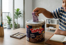 Kaleng Bekas Biskuit Bisa Dimanfaatkan, Ini 5 Inspirasinya