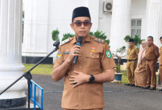 Wabup Kepahiang Klarifikasi Dana Kelurahan: Hanya Miskomunikasi, 10 dari 12 Kelurahan Sudah Cair