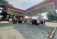 Update Terbaru Harga Dexlite dan Pertamina Dex: Lonjakan Harga Bebani Pengguna BBM Diesel