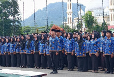 Lama Mengabdi, PPPK Paruh Waktu Berharap Pemkab Beri Ruang Pengangkatan Penuh Waktu!