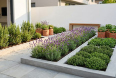 Teras Rapi, Wangi dan Fungsional, Ini Cara Membuat Kebun Aromatik Minimalis