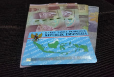 Tips Memulai Investasi Saham untuk Pemula, Jangan Asal Ikut Tren