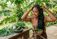 Rambut Kuat dan Lebat, Manfaatkan Daun Pepaya