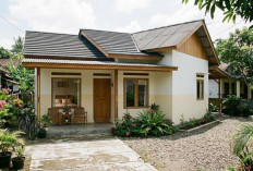 5 Desain Rumah 5 x 8 M Sederhana di Kampung yang Terlihat Luas dan Rapi