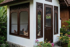 5 Desain Kandang Ayam Kombinasi Kayu dan Kawat Galvanis Premium