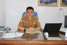 Memasuki Musim Hujan, Dinkes Kepahiang Imbau Masyarakat Waspadai Lonjakan DBD