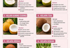 Jangan Salah Pilih! Ini Perbedaan Kelapa Hijau, Kuning, Tua, dan Manfaatnya