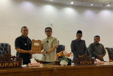 Tindaklanjuti Temuan BPK RI, DPRD Kepahiang Bentuk Pansus LHP!