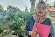 Melawan! Terpidana Muksir Jawab Banding JPU Kejari Kepahiang, Begini Pernyataan PH Ita Jamil