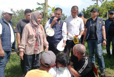 Siap Hadapi RDP di Komisi III DPR RI, PH Tersangka MK: Siapkan Bukti yang Valid!