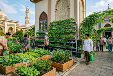 Produktif dan Berkelanjutan, Ini 3 Ide Kebun Sayur di Halaman Masjid untuk Kebutuhan Jamaah
