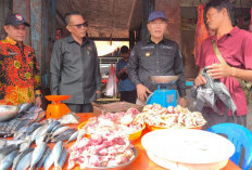 Sidak Bapokting Telur dan Daging Ayam Ras Terpantau Naik, Dampak MBG?