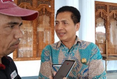 Tempo 4 Bulan, Dinkes Rejang Lebong Catat 6 Kasus DBD