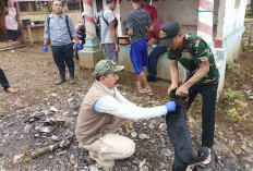 Anggaran Terbatas, Distan Kekurangan Alokasi Vaksin HPR