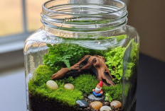 Toples Kaca Bekas Lebaran Bisa Jadi Dekorasi Estetik, Ini 5 Ide Simpel yang Menarik