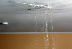 Cek Kebocoran Rumah dengan Cara Ini, Terapkan Sebelum Beli Rumah!