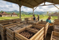 Modal Rp3 Juta, Ini 5 Rekomendasi Ternak yang Menjanjikan dan Mudah Dikembangkan