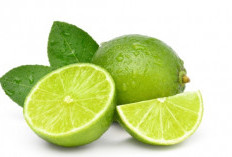 Ampuh Atasi Setres, Ini 5 Manfaat Mengkonsumsi Jeruk Nipis yang Jarang Diketahui