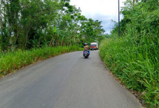 Jalan Lintas Bengkulu-Pagaralam 
