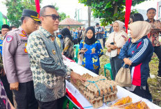 Tak Ada Pangan Murah Jelang Idul Adha