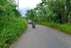Anggaran Tebas Bayang Minim, Mampukah Akomodir Seluruh Jalan Kabupaten Kepahiang?