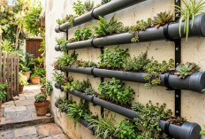 5 Ide Rak Tanaman dari Paralon Bekas yang Unik dan Hemat Biaya