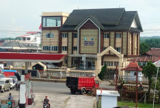 Tingkatkan Literasi Butuh Dukungan Seluruh Stakeholder Pusat dan Daerah