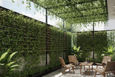 Teras Rumah Rapi Ramah Lingkungan,  Ini 5 Desain Inspirasinya