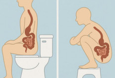 Posisi BAB yang Sehat: Jongkok atau Duduk?
